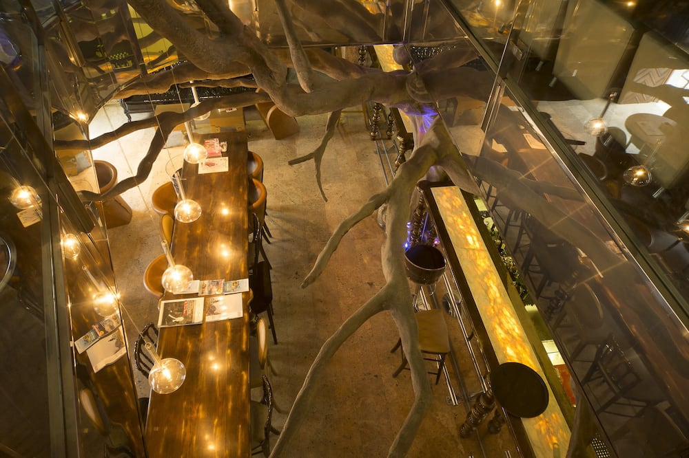 アストリア ホテル コトール 写真