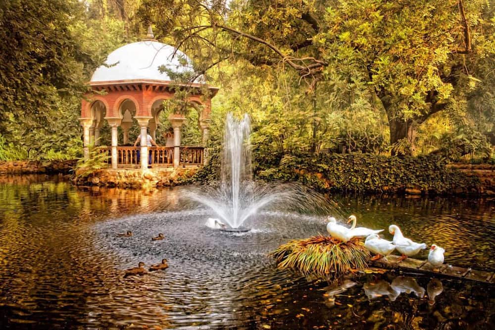 ホテル シモン 写真