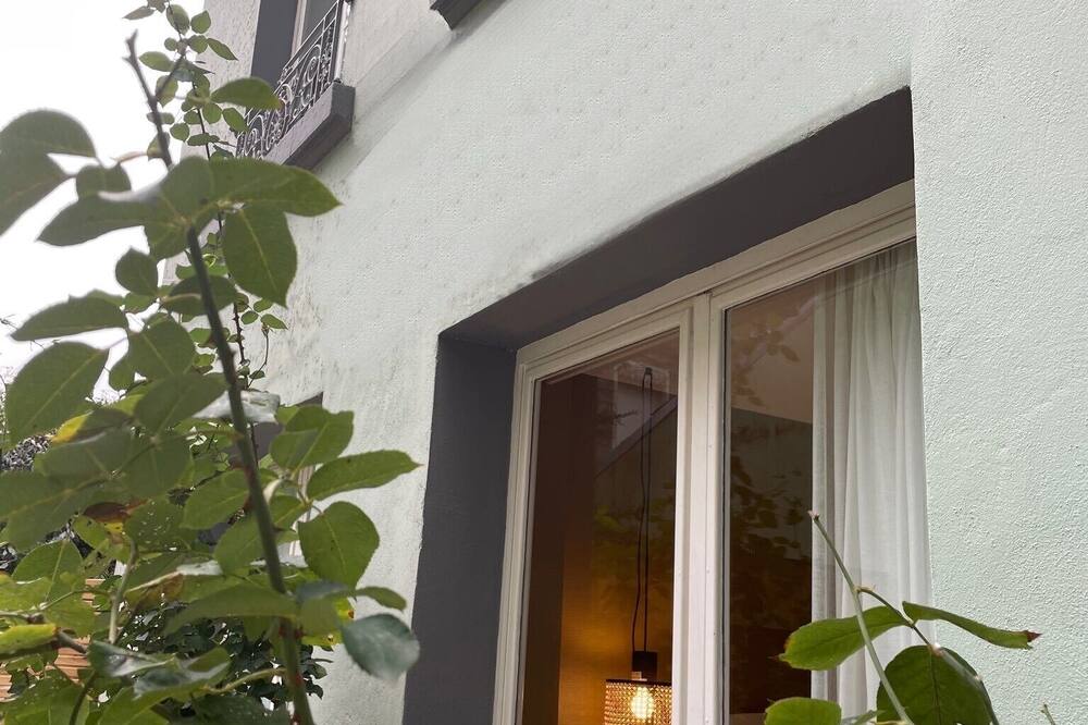 Berlioz Nn Lyon 写真