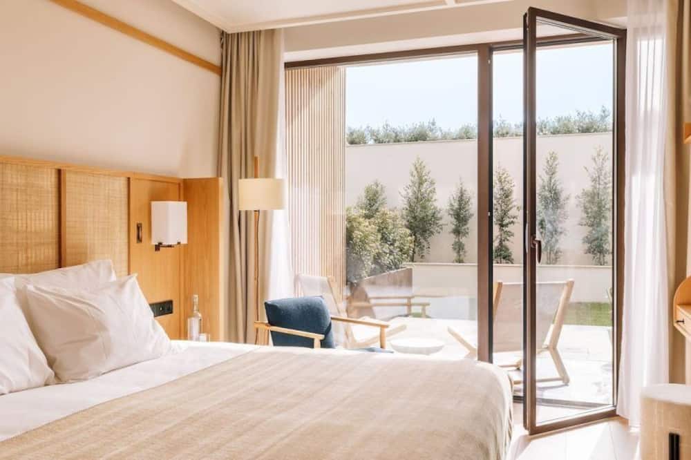 アエートス エリセイラ 写真