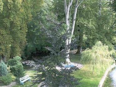 Logis Moulin Des Forges 写真