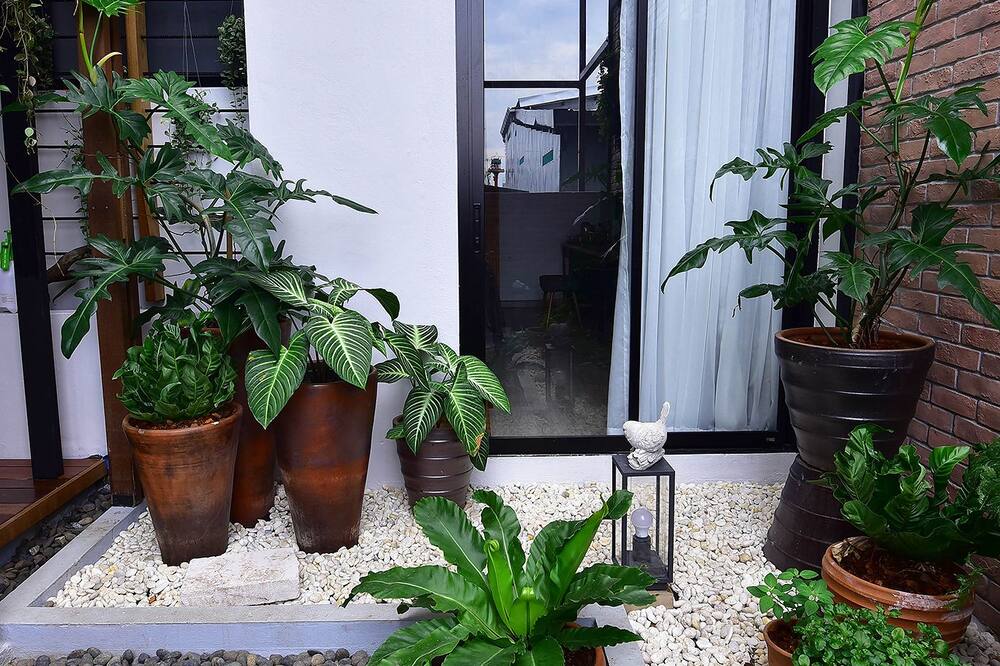 ファミリー トゥリー ホテル 写真