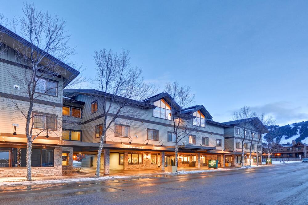 ホームウッド スイーツ バイ ヒルトン ジャクソン 写真