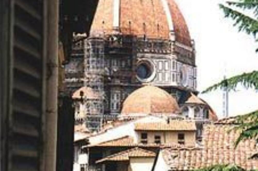 テル ダリ 写真