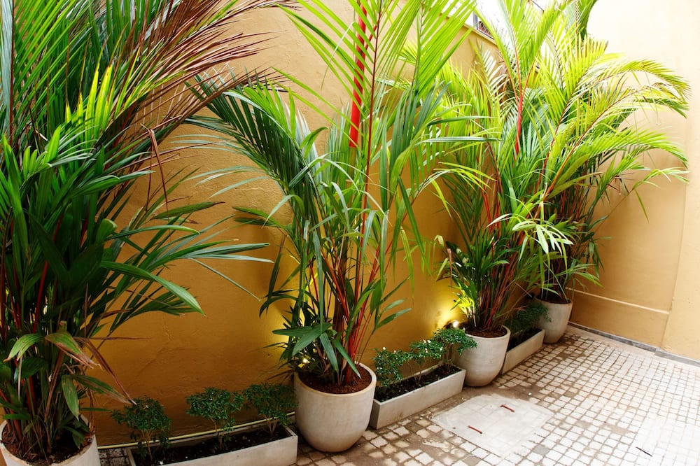 シティレスト フォート - ホステル 写真