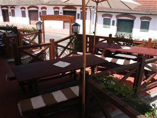 ヴィテニ ピンツェ ヴェンデギャ 写真