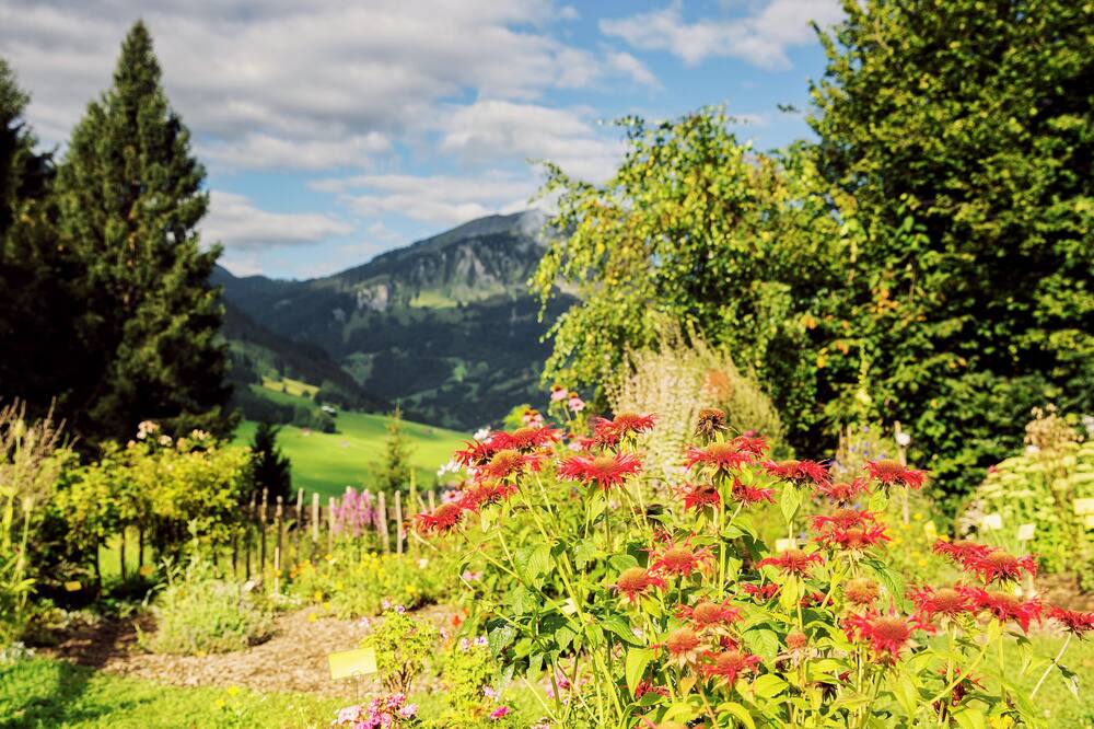 Hotel Apartments Alpenrose 写真