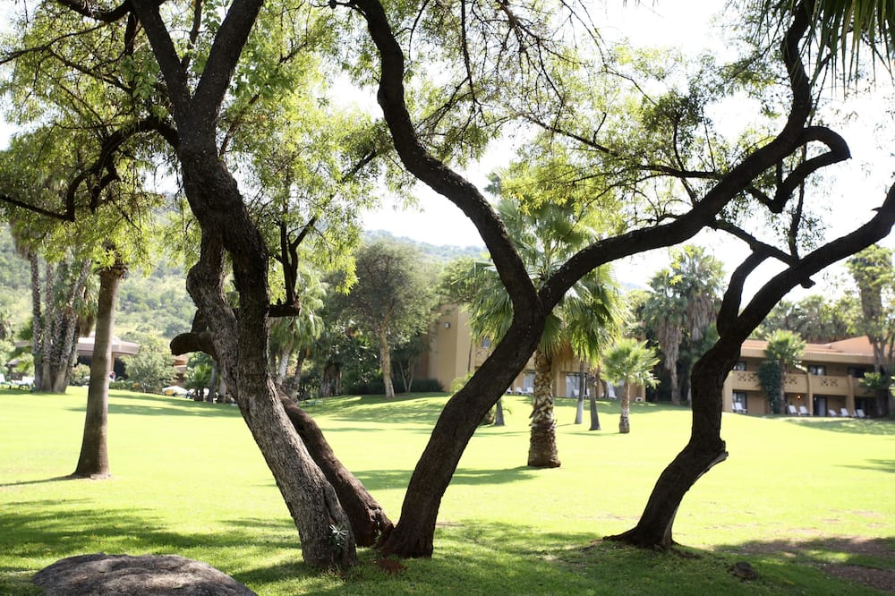 The Cabanas Hotel at Sun City Resort 写真