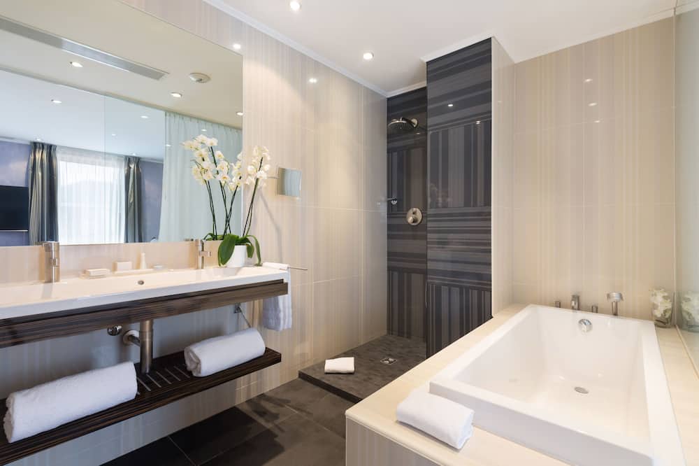 ベストウェスタン プラス ホテル マセナ ニース 写真