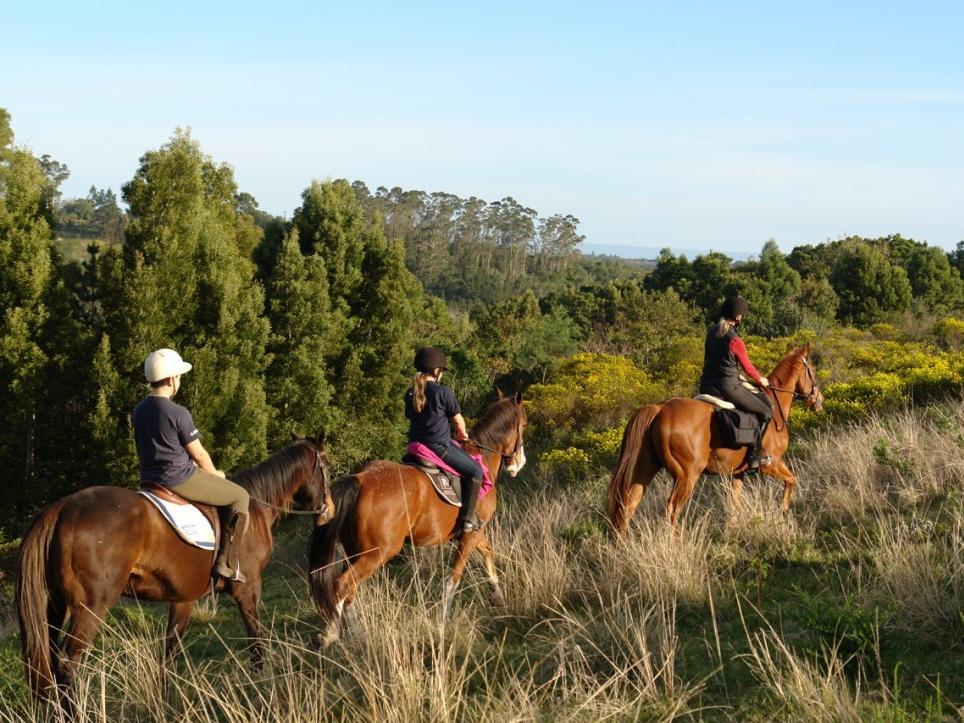 ホッグ ホロウ カントリーロッジ 写真