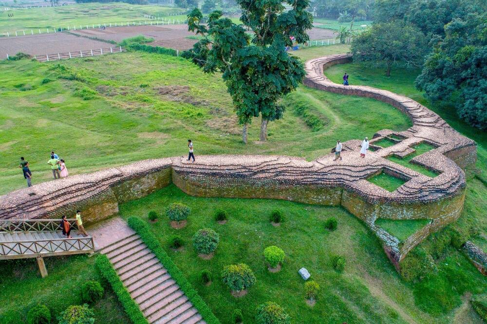 モモ イン 写真