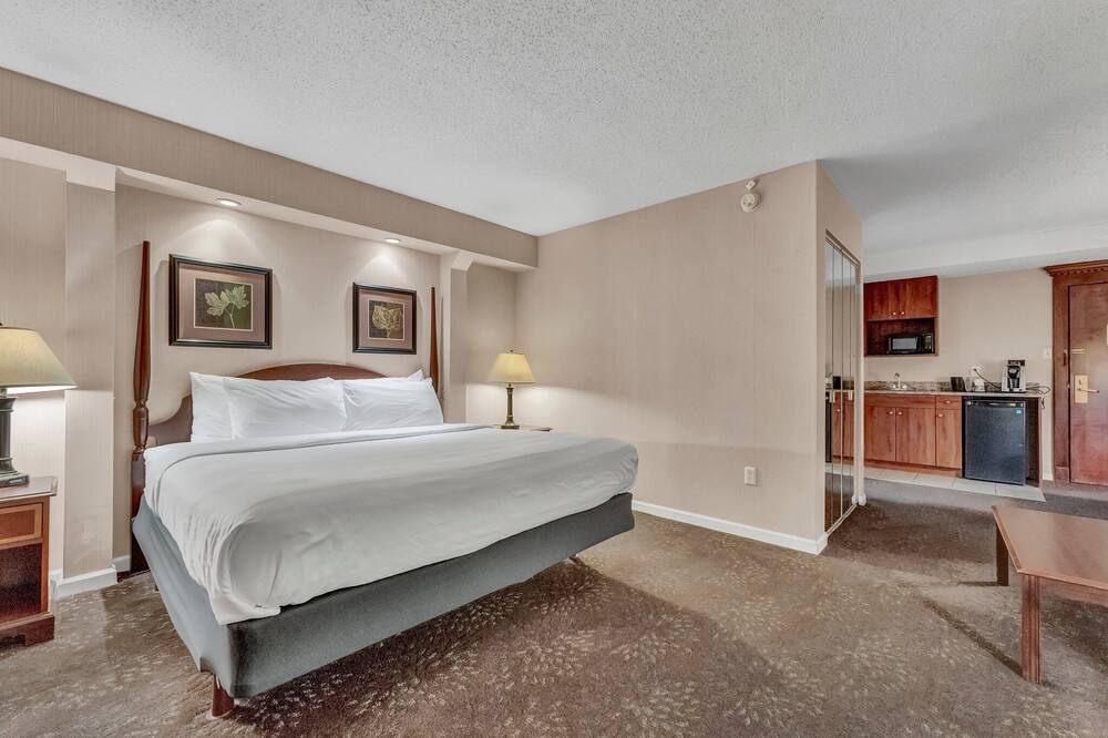 バッファロー エアポート ホテル 写真