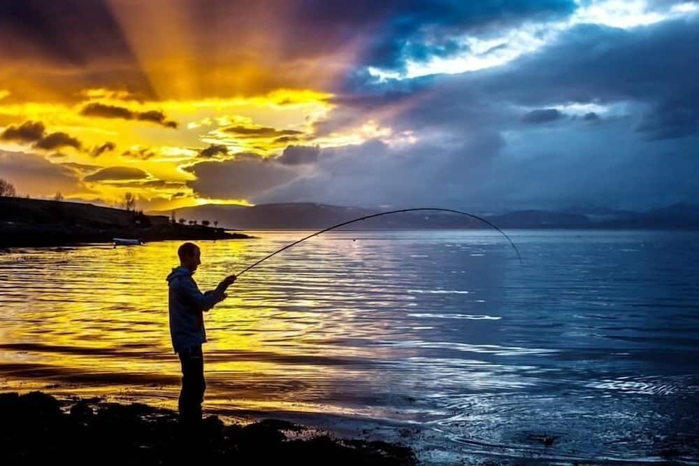 Thon Partner Hotel Narvik 写真