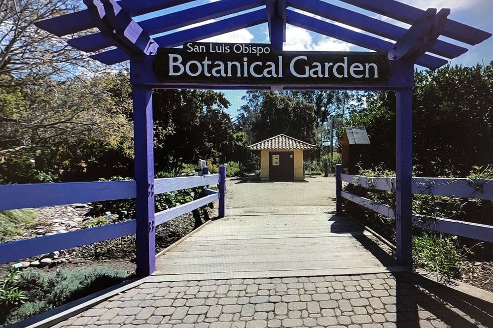 ユニバーシティ イン 写真