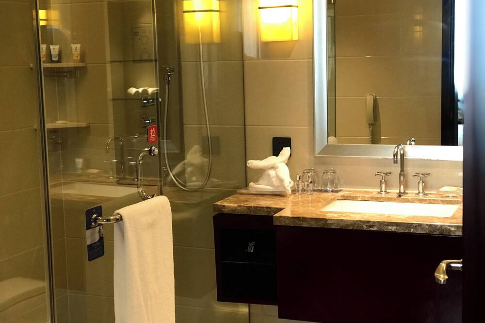 天津 サイシャン ホテル 写真