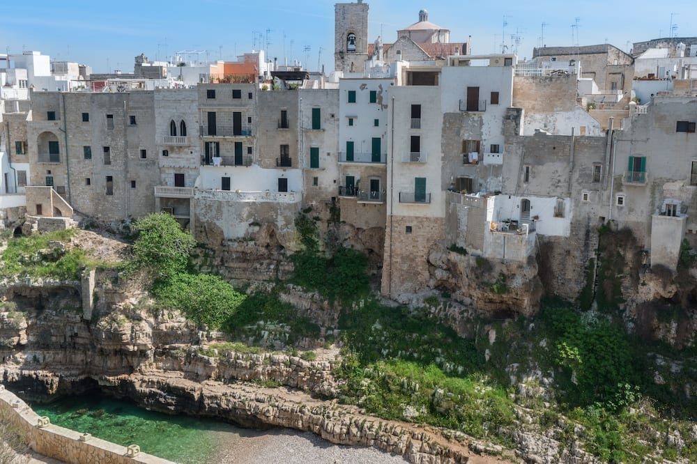 コボ デイ サラセニ 写真