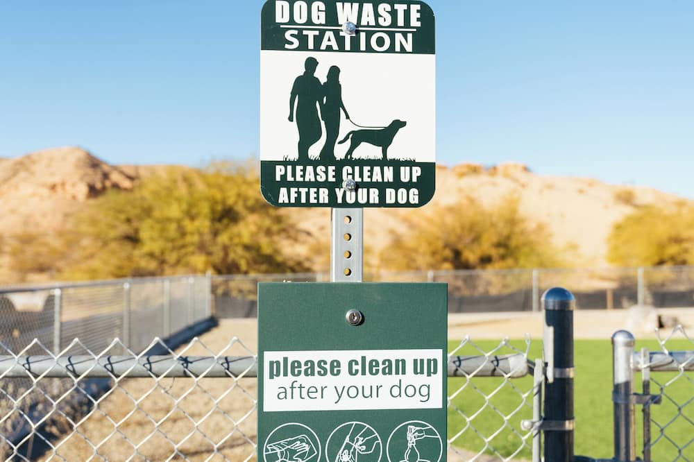 バージン リバー ホテル アンド カジノ 写真