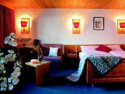 Hôtel Alpina - Swiss Ski & Bike Lodge Grimentz 写真
