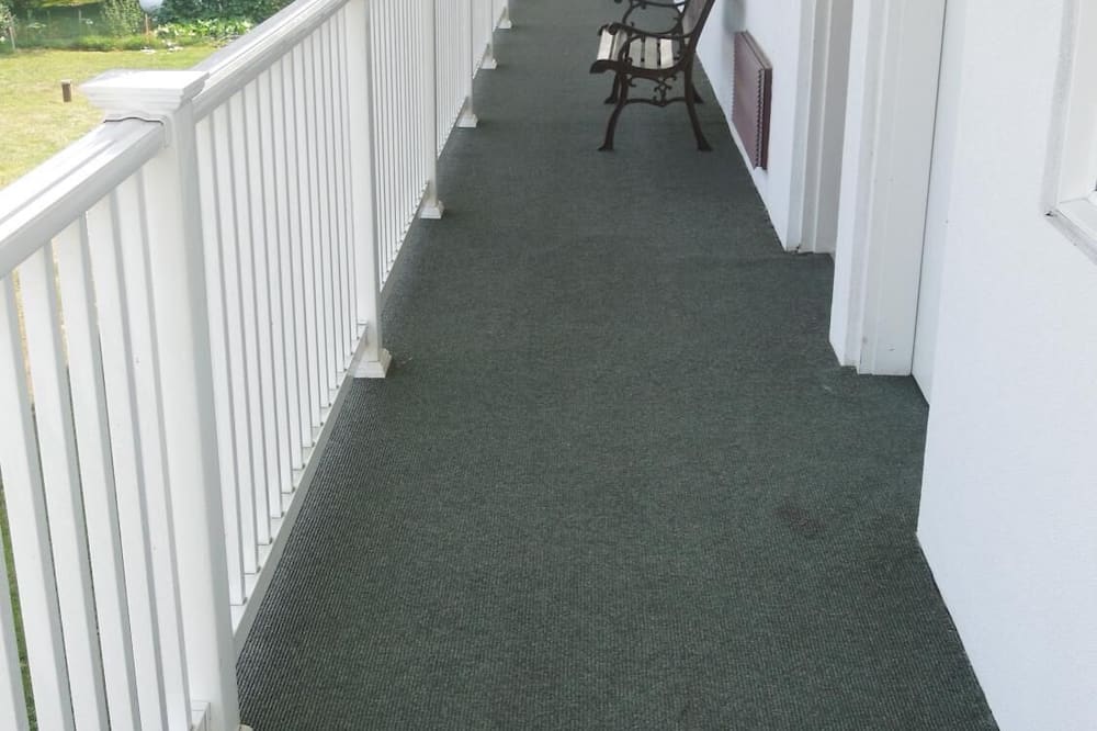 スコティッシュ イン ロンクス 写真