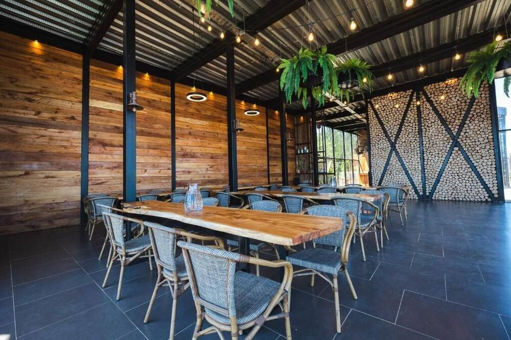 タカ マタンザス 写真