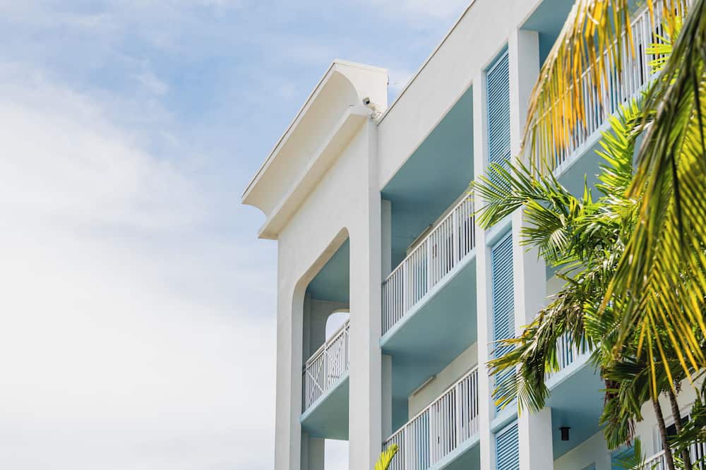Blue Flamingo Resort Key West 写真