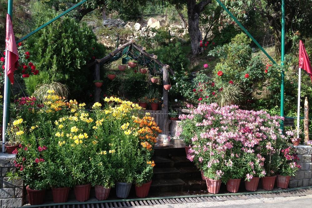 Asia Spa Resort 写真