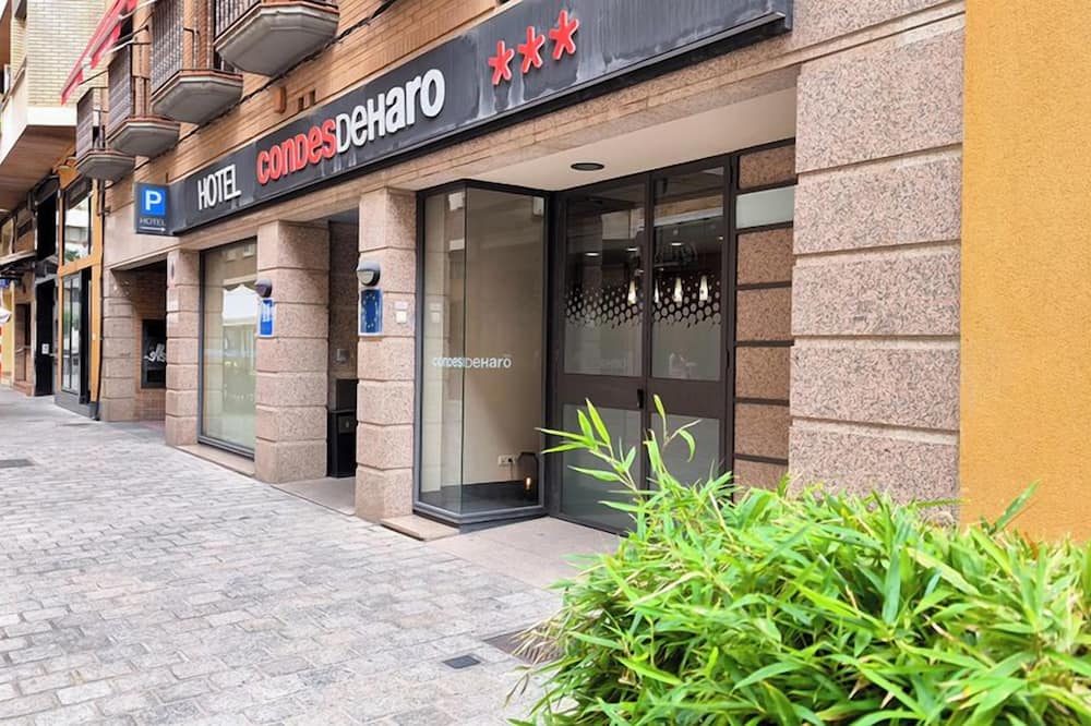 パートナー コンデス デ ハロ ホテル 写真