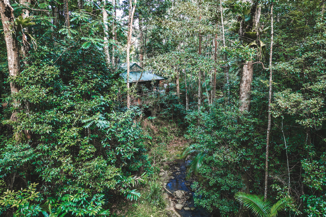 ナローズ エスケープ レインフォレスト リトリート 写真