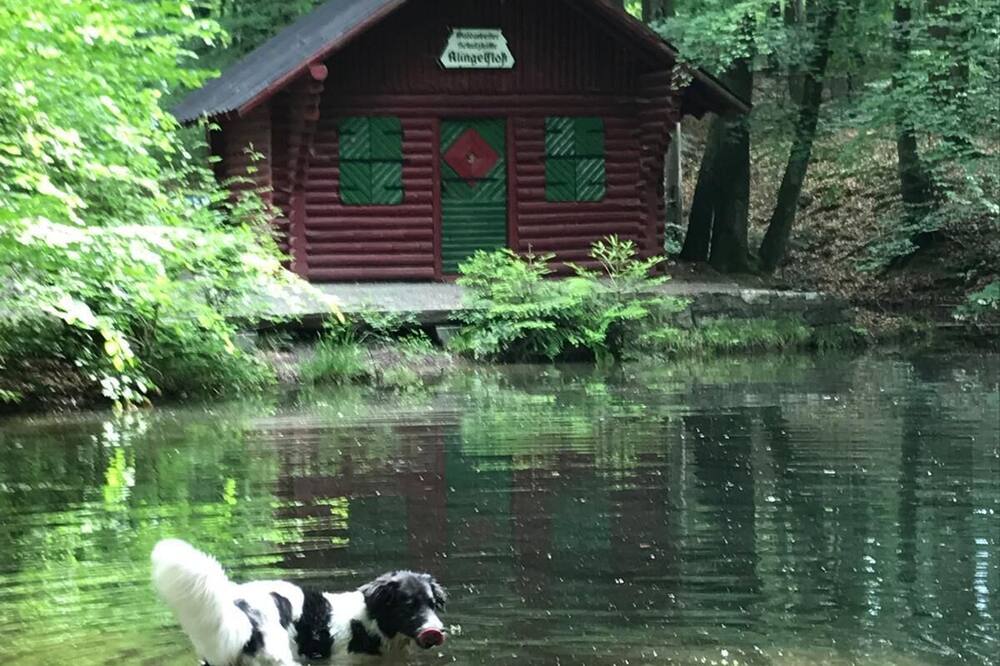 Landidyll Hotel Restaurant Birkenhof 写真