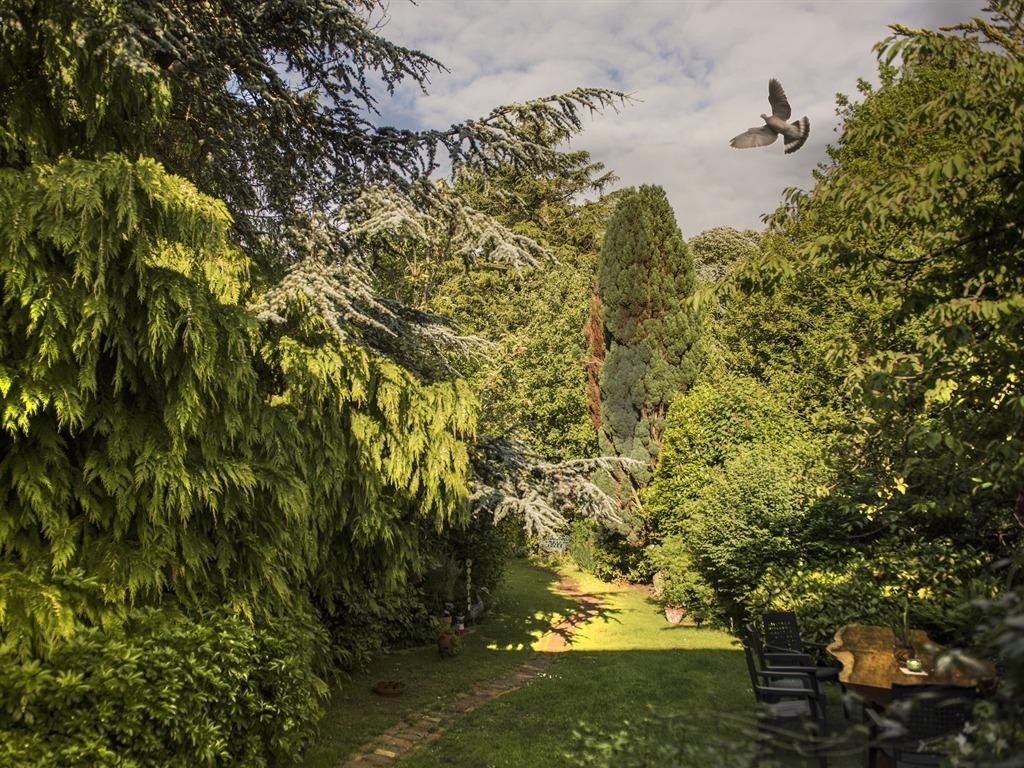 24 Ward Avenue 写真