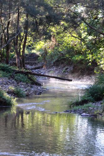 Yabbaloumba Retreat 写真