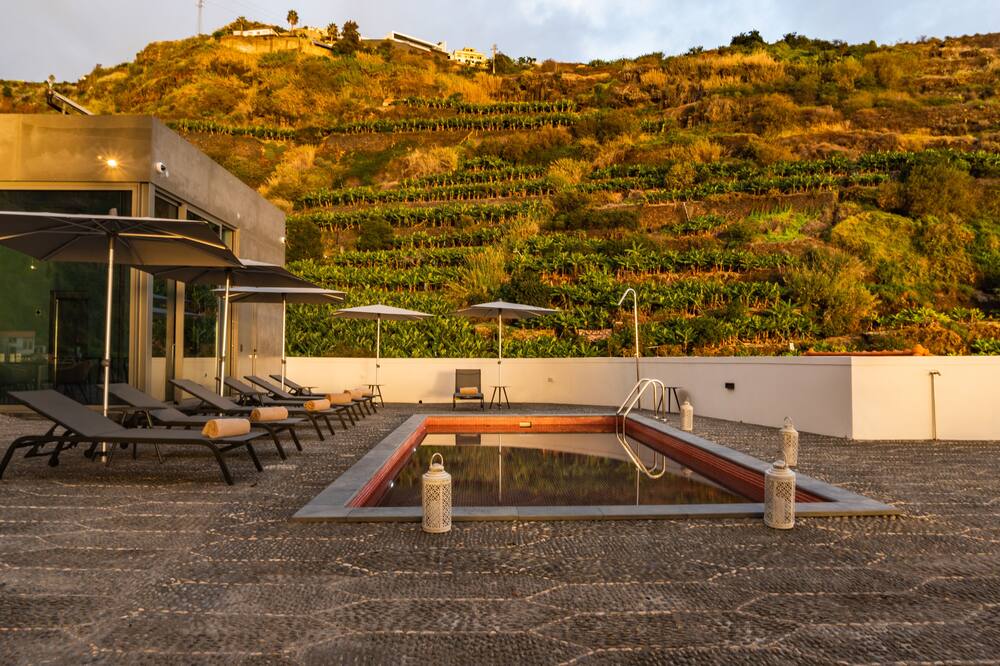 1905 ジノズ パレス 写真