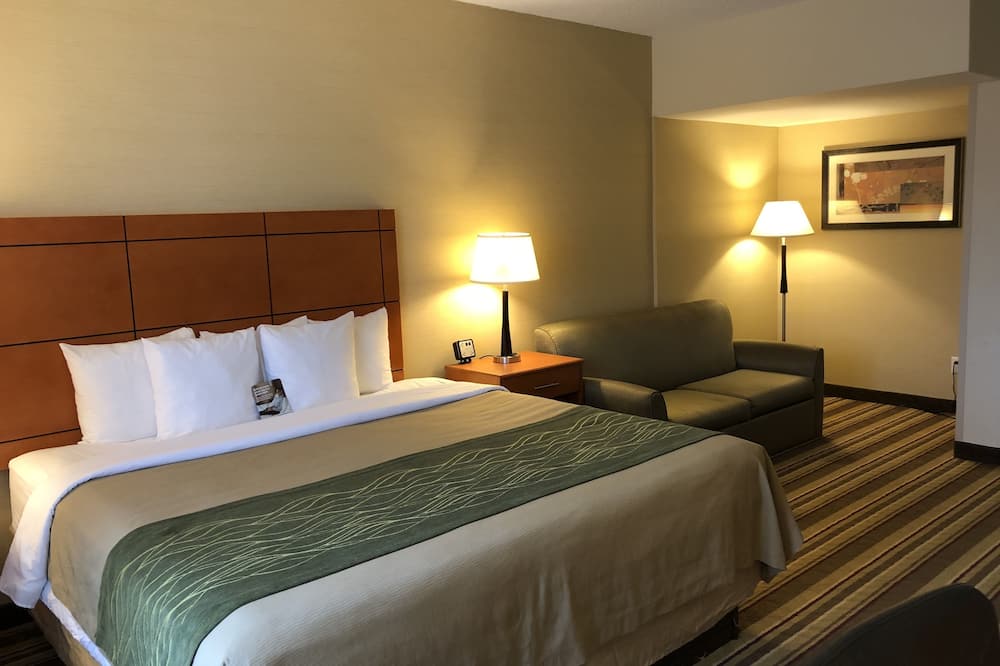 コンフォート イン メトロ エアポート 写真