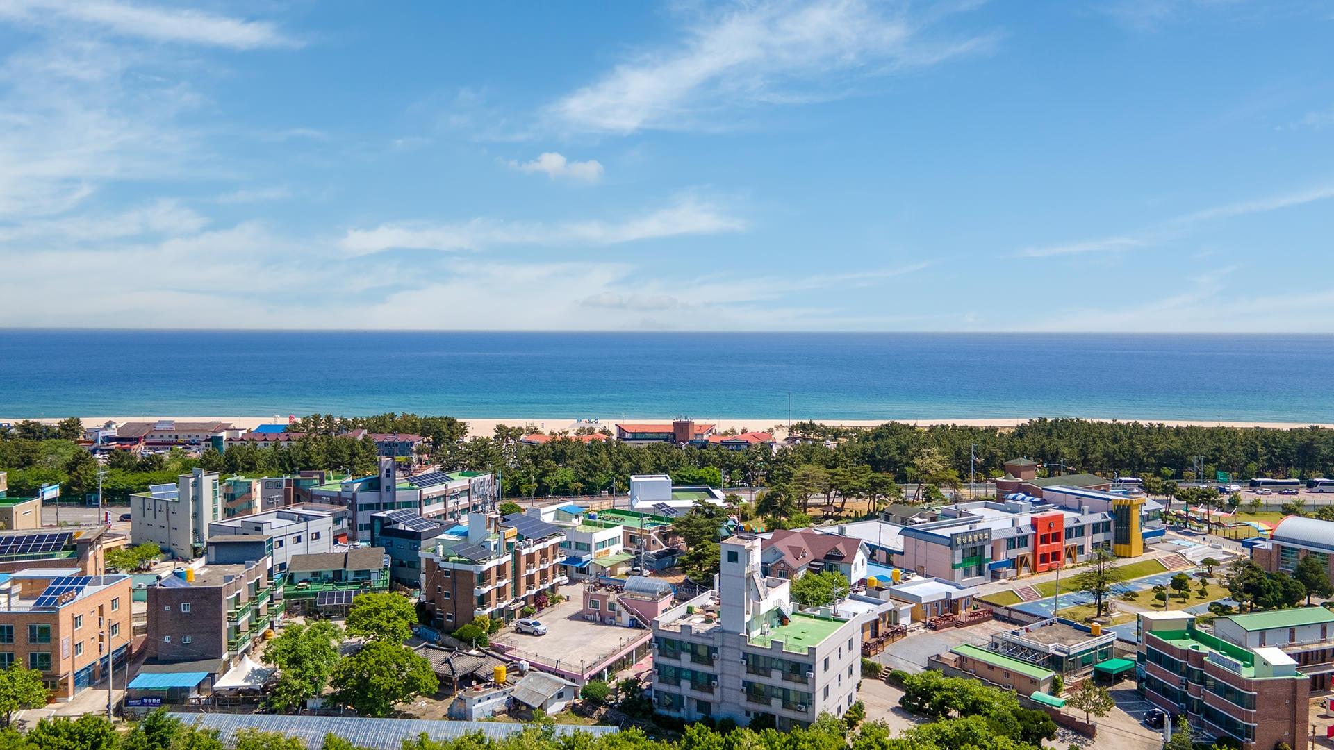 Donghae starbeach pet pension 写真