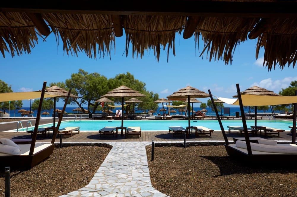 ブラック ローズ スイーツ 写真