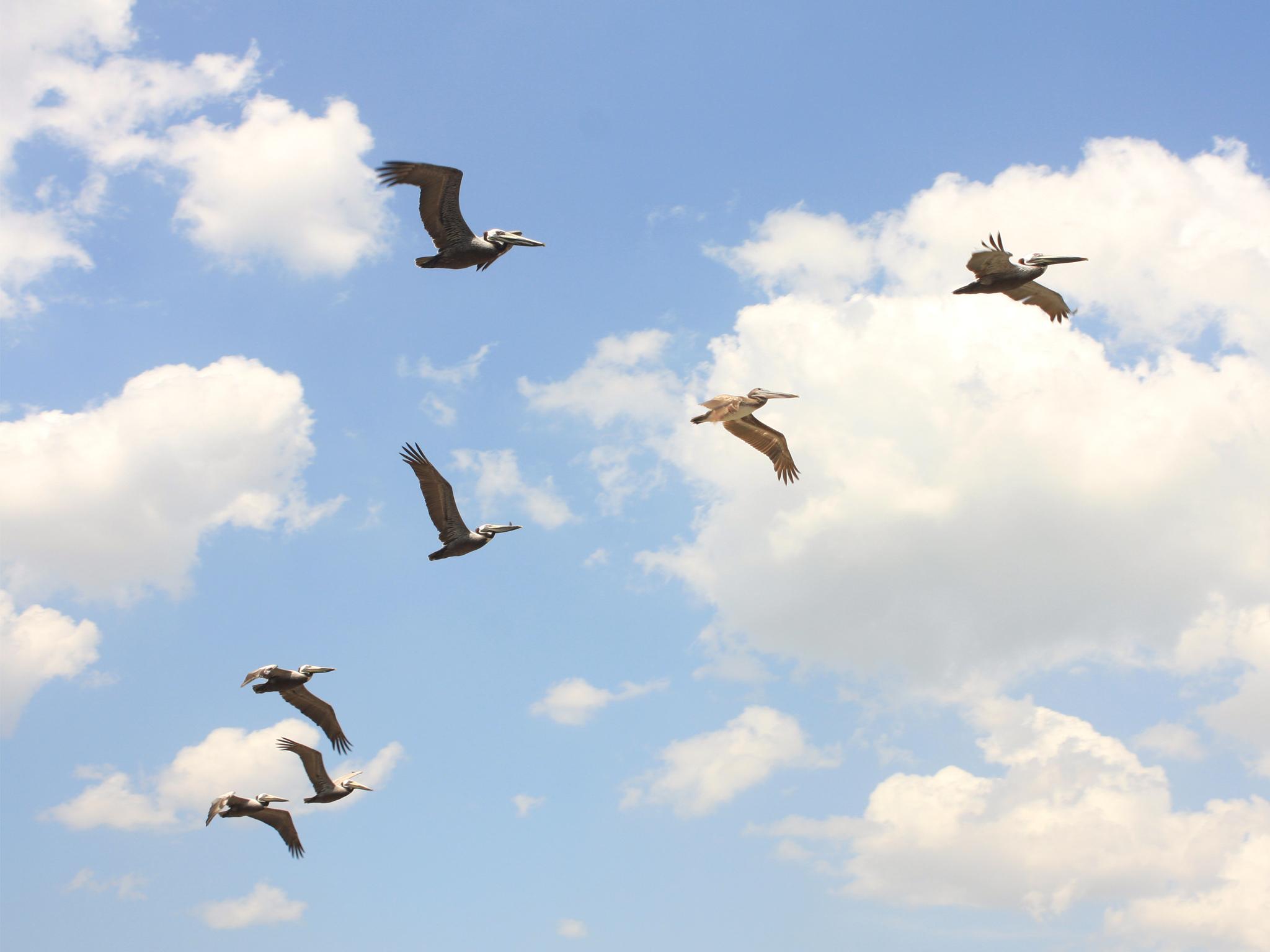 ホテル コジー ウェットランド 写真