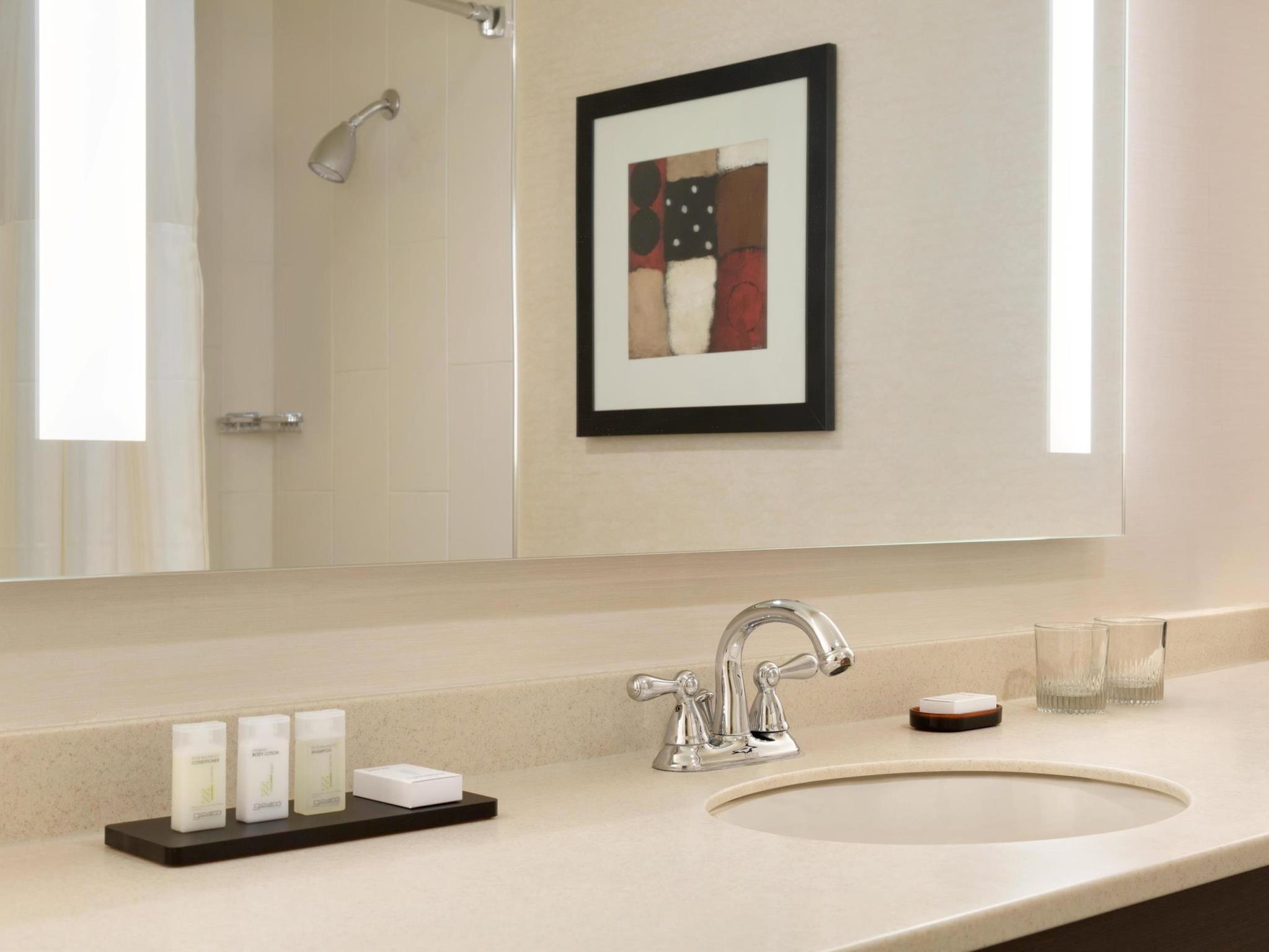 Embassy Suites by Hilton Chicago North Shore Deerfield 写真