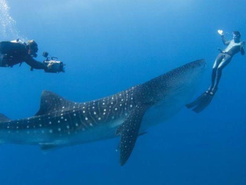 オーシャン ビスタ ゲスト ハウス アット マーフシ 写真