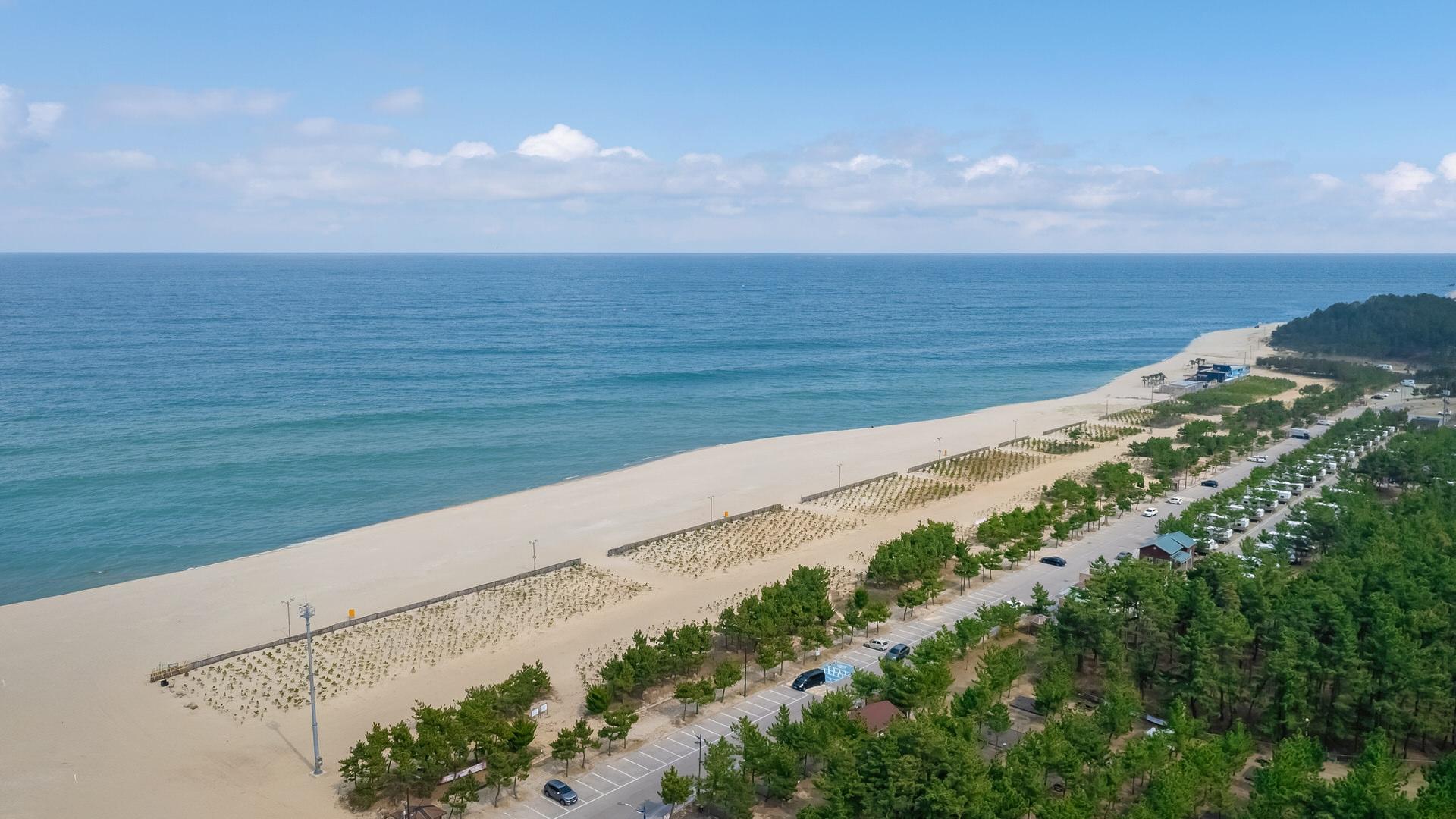 Donghae starbeach pet pension 写真