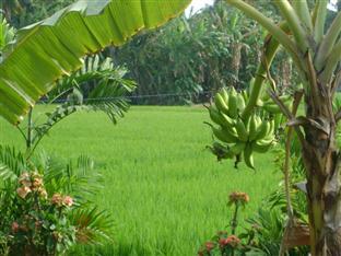 ティサラ ゲスト ハウス 写真