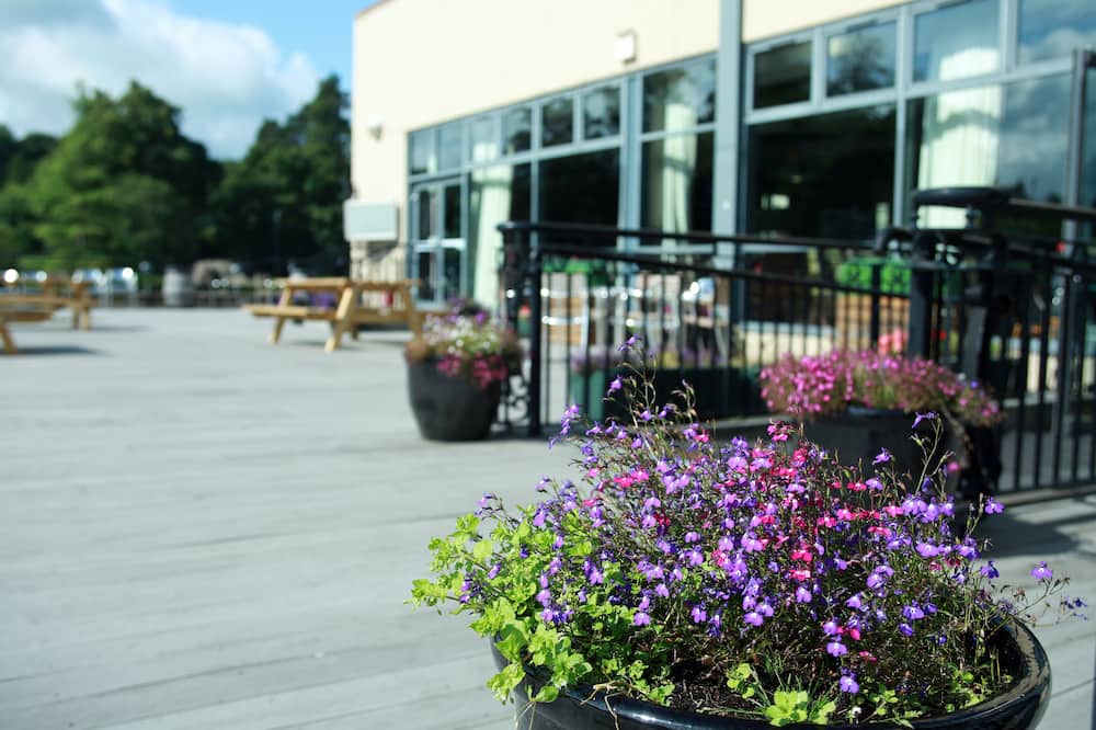 アーマー シティ ホテル 写真