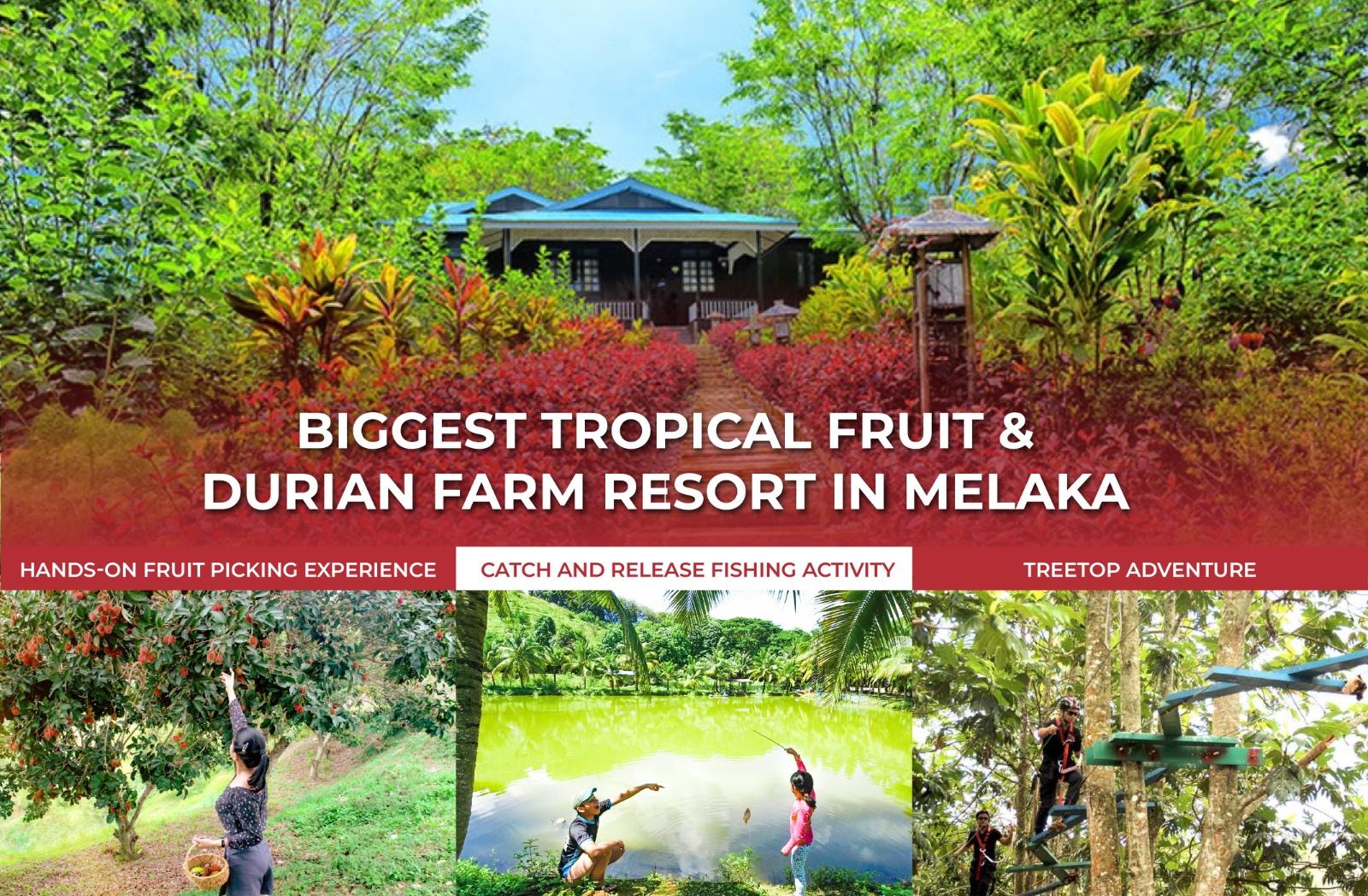 ジ オーチャード リゾート ＆ スパ 写真