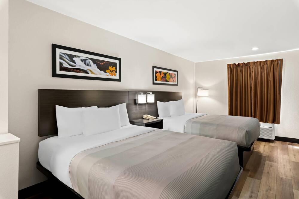 クオリティ イン & スイーツ 写真