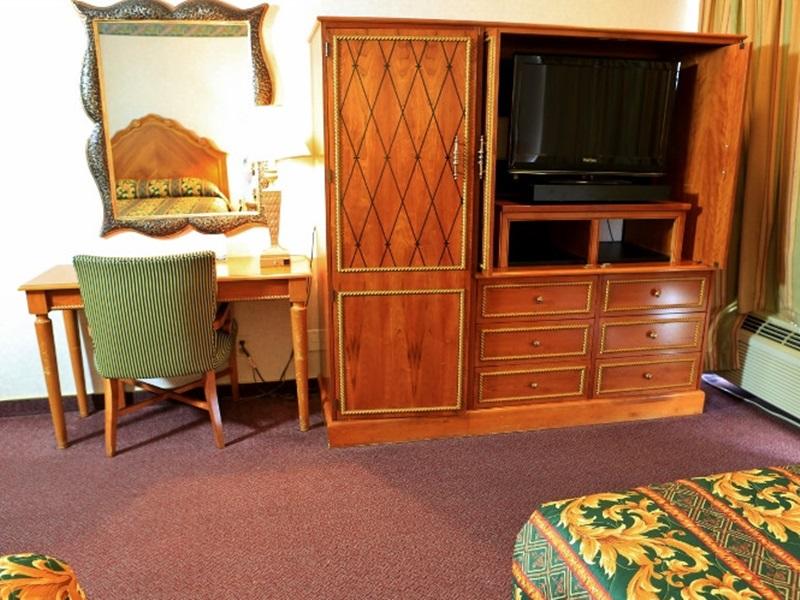 バレー イン 写真