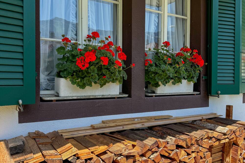 ホテル シャレー スイス 写真