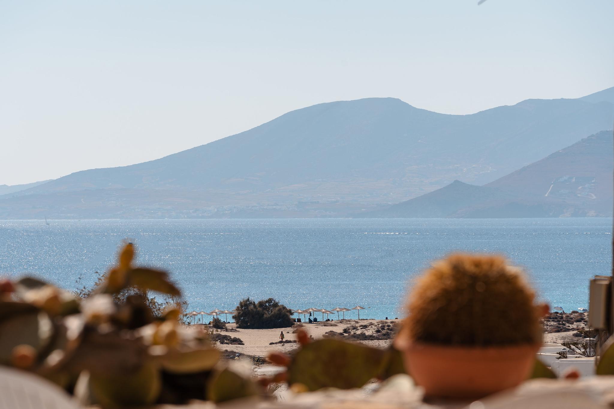 ミトス スイーツ 写真