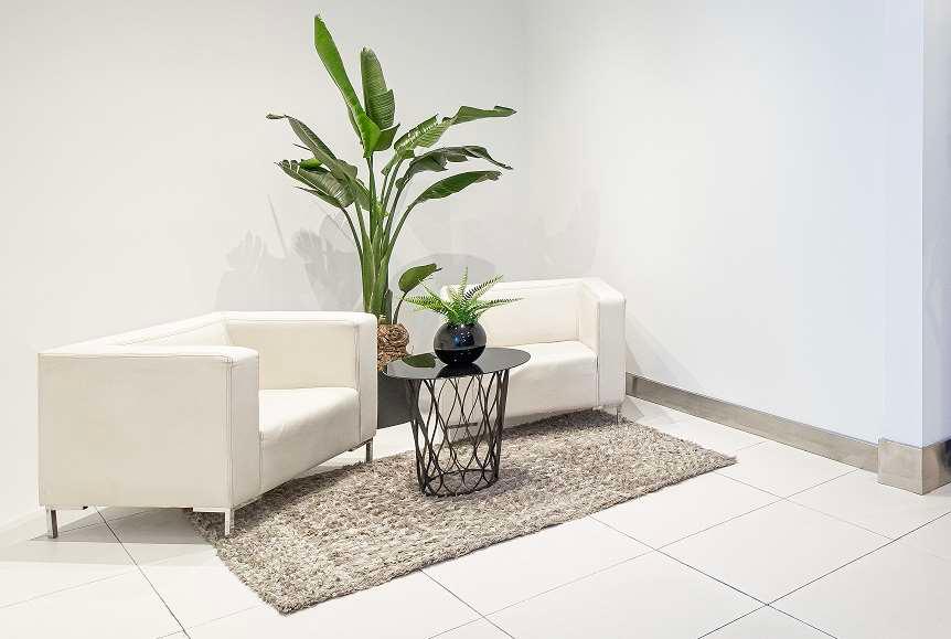 ホテル ヌエヴォ ボストン 写真