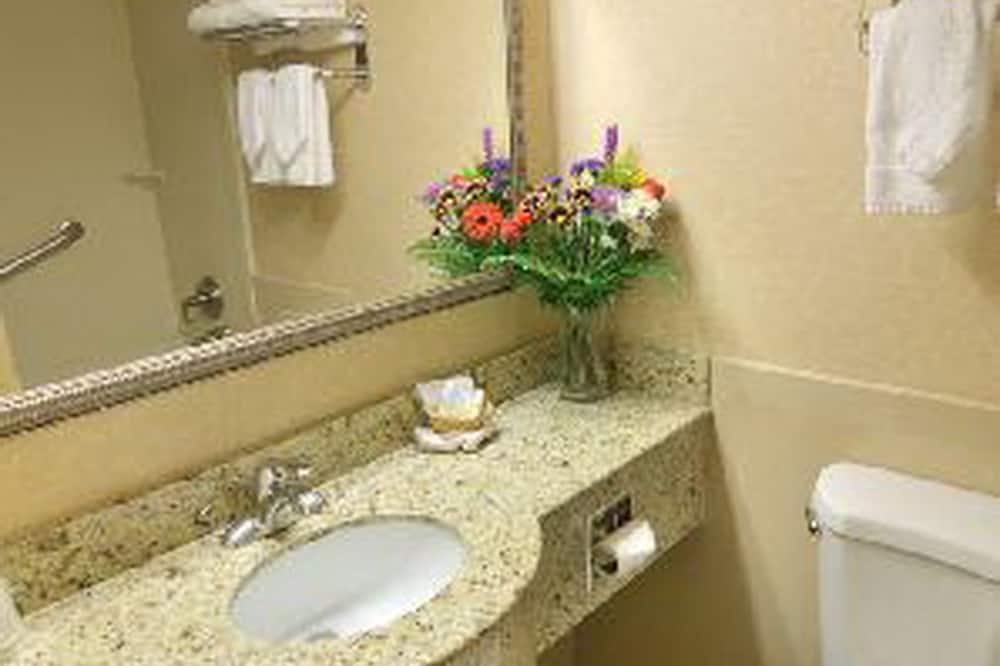 エアウェイ イン アット ラガーディア 写真