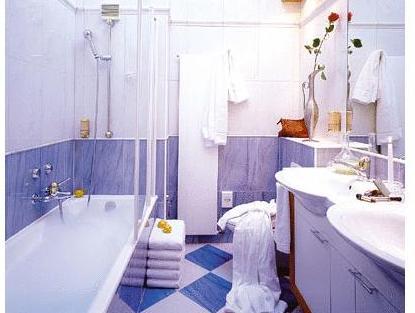 スイス アルピン ホテル アラリン 写真