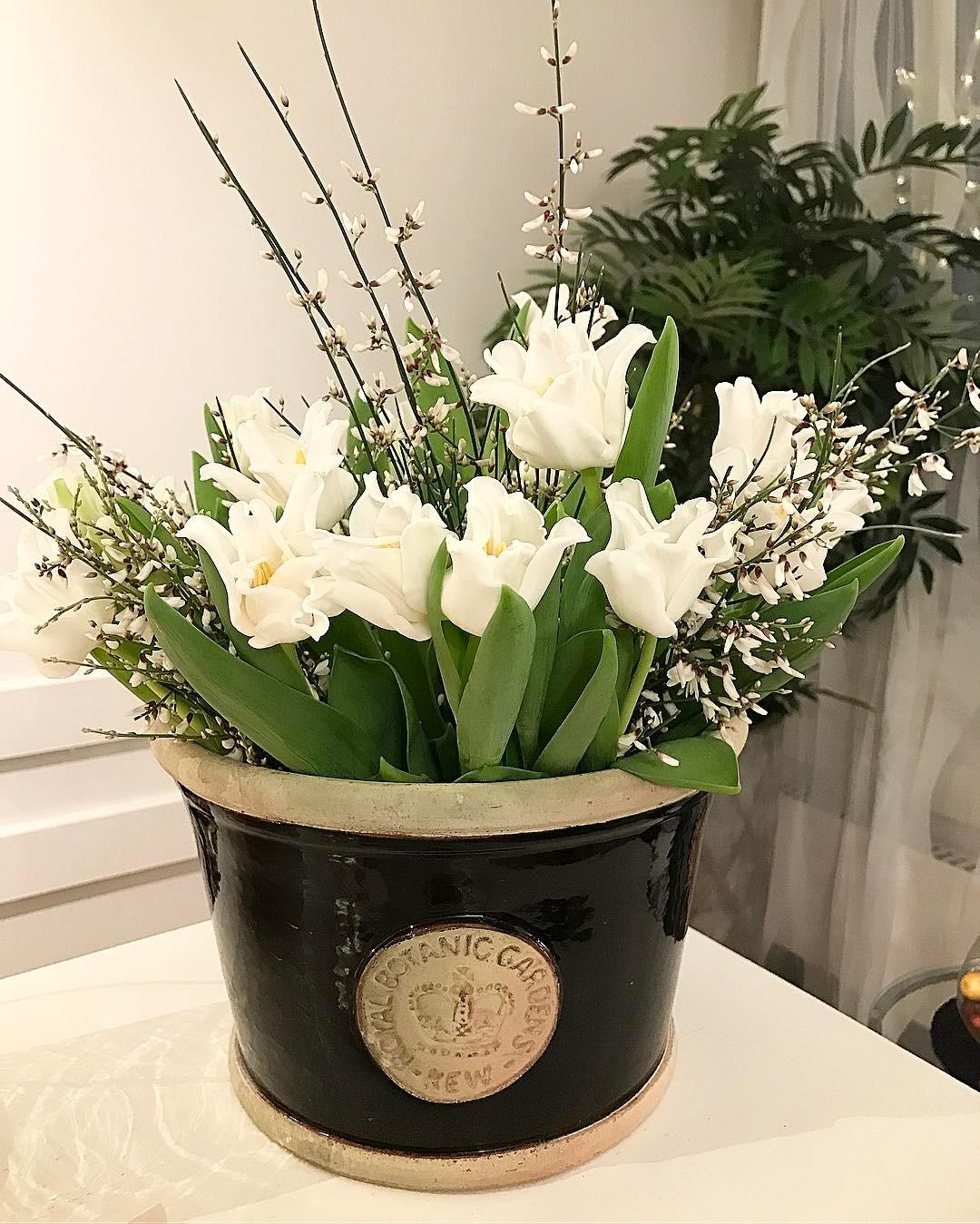 ホテル シャルロッテ / ステラ 写真